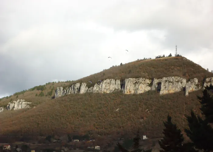 Отель Des Voyageurs Мийо