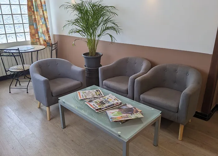 Отель Des Voyageurs Мийо