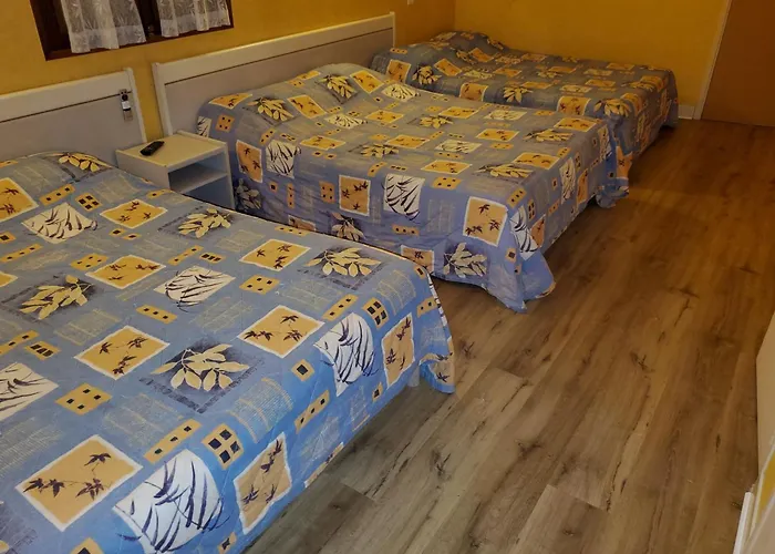 Hotel Des Voyageurs Millau