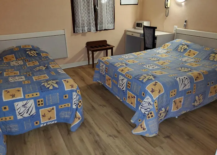 Des Voyageurs Hotel Millau