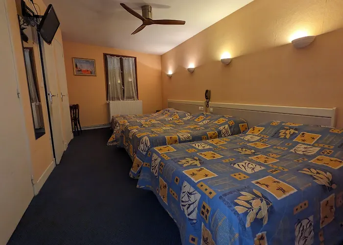 Hotel Des Voyageurs Millau